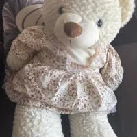 خرس متوسط کوچک