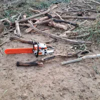 رامشیر.|خدمات باغبانی و درختکاری|رامشیر, |دیوار