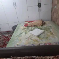 اجاره روزانه سوئت|اجارهٔ کوتاه‌مدت آپارتمان و سوئیت|شاهین‌شهر, شهرک گلدیس|دیوار