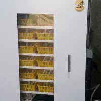 دستگاه جوجه کشی فاخته 1008تایی