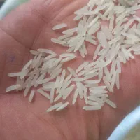 برنج پاکستانی دانه بلند ۱۱۲۱