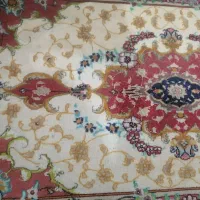 جفت پادری تبریز اعلا|پادری|تهران, صادقیه|دیوار