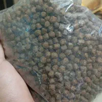 بچه ماهی کپور آمور فیتوفاک بیگهد گرمی کوی پالیت|ماهی|تهران, میدان میوه و تره‌بار مرکزی|دیوار
