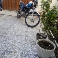 موتور87برگه مزائده به شرط|موتورسیکلت|قائم‌شهر, |دیوار