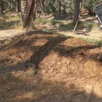 کود مالی و خاک باغچه تحویل درب منزل