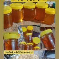 عسل طبیعی|خوردنی و آشامیدنی|رباطکریم, نصیرشهر|دیوار