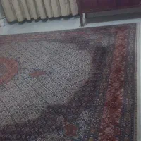 فرش دستبافت ابریشمی نفیس|فرش|مشهد, امیریه|دیوار