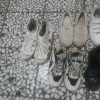 کفش همه باهم|کیف، کفش، کمربند|اردبیل, |دیوار