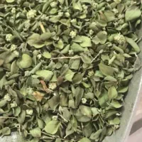 آویشن کوهی شیراز