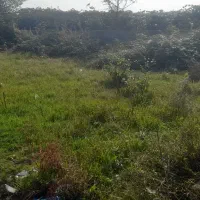 زمین مسکونی|فروش زمین و ملک کلنگی|حویق, |دیوار