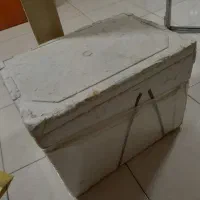 یخ دان اکاسیوی