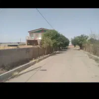 همخانه می‌خوام