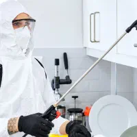 سمپاشی حشرات/10سال تضمینی/موریانه زدایی/سوسک سوسک