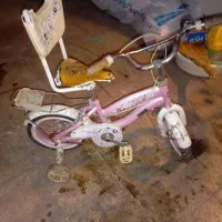 دوچرخه بچه گانه پرادو