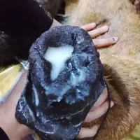 روغن گوسفند بشرط خالص خالص