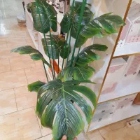 درختچه برگ انجیری بزرگ خارجی اک|گل مصنوعی|قم, شهرک فاطمیه|دیوار