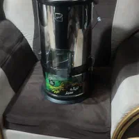 سبزی خوردن سالم و در حد نو