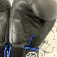 دستکش بوکس 14 oz|تجهیزات ورزشی|مشهد, طلاب|دیوار