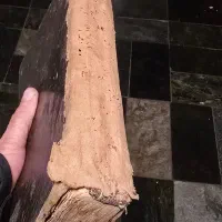 قرآن کریم|کلکسیون اشیاء عتیقه|تهران, فردوسی|دیوار