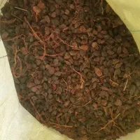 انواع و اقسام مویز بدون واسطه|خوردنی و آشامیدنی|شیراز, میانرود|دیوار