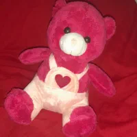 خرس ۳۰ سانتی