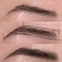 میکروبلیدینگ یک نفر رایگان بقیه هزینه مواد رنگ فی|خدمات آرایشگری و زیبایی|رشت, گلسار|دیوار