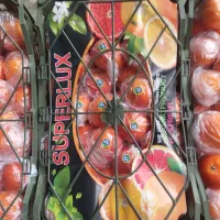 تامین بار میوه تهران