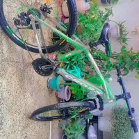دوچرخه عقب جلو دیسکی حرفه ای