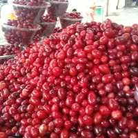 خیابان شریعتی،اول کوچه استرومردخای،روبروی قصابی