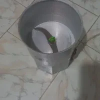 باسلام ۱عددمایکروفر وسبزی خوردکون به فروش میرسد