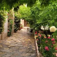 همراه طبیعت گردی