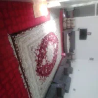 موکت درحدنو|موکت|شیراز, شیخ علی چوپان|دیوار