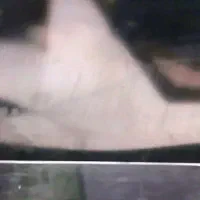 تلوزیون 40اینچ سونی|تلویزیون و پروژکتور|لامرد, |دیوار