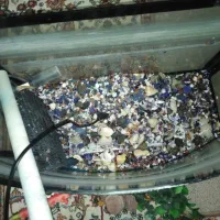 آکواریوم با تمام تجهیزات|ماهی|سهند, |دیوار