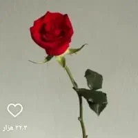 فروش زمین ذخیره دو کوهک
