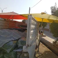 چتر سایه بان گم شده