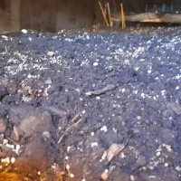 کمپوست|گل و گیاه طبیعی|مسجد سلیمان, |دیوار