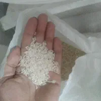 برنج هاشمی سورتینگ زده