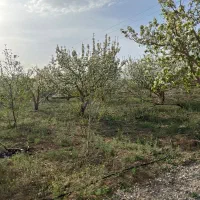 ۷۵۰متر زمین شهرکی متری ۳۷۰۰ جابان دماوند اقساطی|فروش زمین و ملک کلنگی|دماوند, دماوند|دیوار