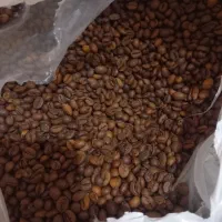 پخش قهوه فرشته