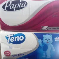دستمال کاغذی مارک تنو 250برگ دولا فقط 120تومان