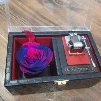 رز جاودان و باکس موزیکال|گل و گیاه طبیعی|تهران, افسریه جنوبی|دیوار