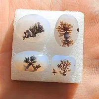 چهار عدد سنگ شجر قائنات|جواهرات|قم, علی آباد|دیوار