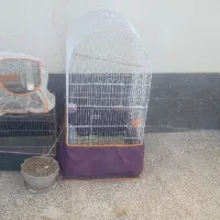 چند عدد قفس ولانه ومقداری دانه