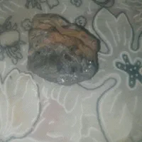 سنگ|کلکسیون و سرگرمی|زبرخان, |دیوار