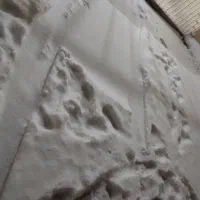 نظافت چی منزل