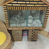 اکواریوم بهمراه کمد