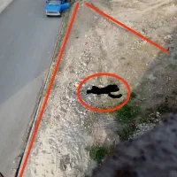 زمین به متراژ ۱۶۵ متر بهر خیابان