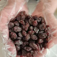 مویز بش دشمن زیاری