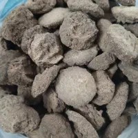 کشک